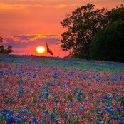 Terri Eldridge Thompson's photo