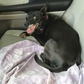 Linda McLaughlin's photo