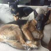Lisa Lunt-Smith's photo