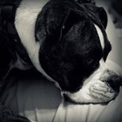 Pam Joyce's photo