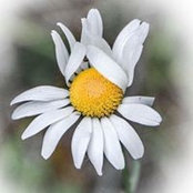 Sharilyn Wagner's photo