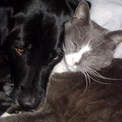 Kimberly Burlin's photo