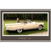 Sherry Swanson's photo