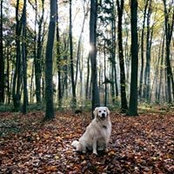 Foto von Olivia Dobberke