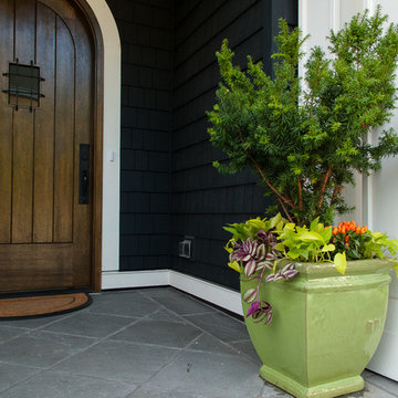 Conifers in containers