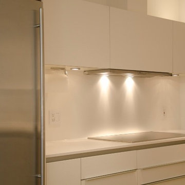 Galleria, high-rise Poggenpohl kitchen renovation in the Four Leaf Towers