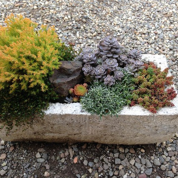 Hypertufa Trough Gardens