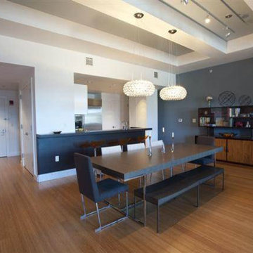 Contemporary Loft