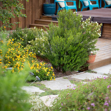 Xeriscape Landscape  - Lush Green with Low-Water Plants