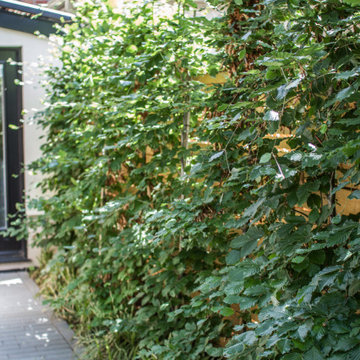 Summerhill Courtyard