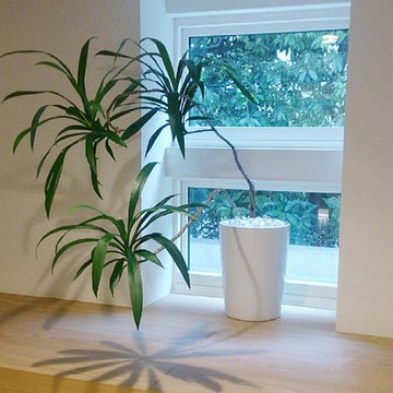 Plants.L