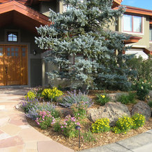 Xeriscape