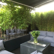 Al's Deck