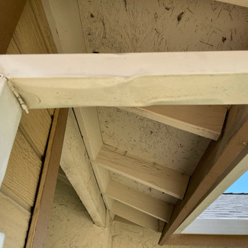 Exterior Paint and Dry Rott Repair