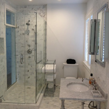 Glass box shower