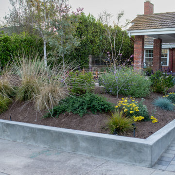 Concrete retaining wall and native/climate adapted plants