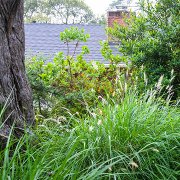 Grassy Meadow Oasis - Reduces Waste While Increasing Habitat