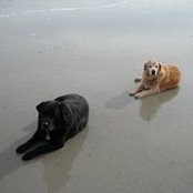 Jon Francis's photo