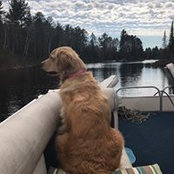 Carol Bradbury's photo