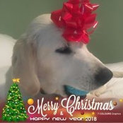 Margi Lauffer's photo