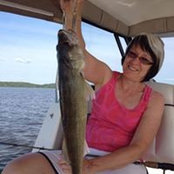 Line Perreault's photo