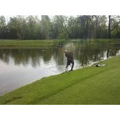 Chris Hackman's photo