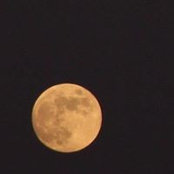 Christina Bouraad's photo