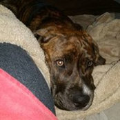 Martha Williams-Grimes's photo