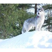 Foto de André Spencer