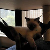 Leslie Johnson's photo