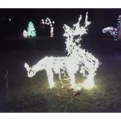 Mary Probert's photo