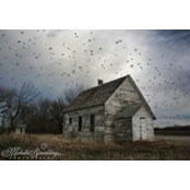 Michelle Spaulding's photo