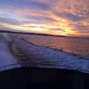 Turner Freeman's photo