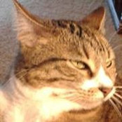 Susan Buss's photo