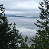 Foto von Debbie Purnell