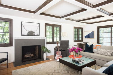 This is an example of a large modern open concept family room in Other with white walls, medium hardwood floors, a standard fireplace and a stone fireplace surround.