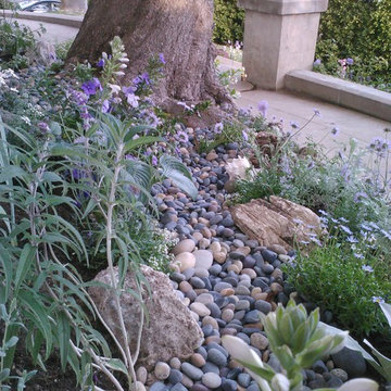 Luscious Dry River Bed
