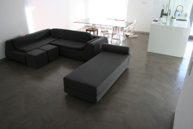Living room - contemporary living room idea in Other