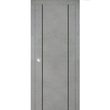 French Pocket Door 30 x 80 with | Planum 0016 Concrete with  | Kit Trims Rail