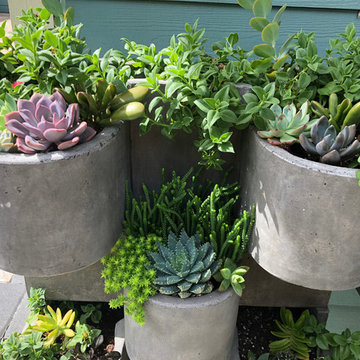 Sprucing up a grill station with succulents
