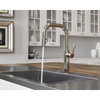 Pfister GT-529-MT Montay 1.8 GPM 1 Hole Pull Down Kitchen Faucet - Matte Black