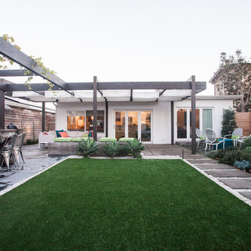 Contemporary Backyard Oasis