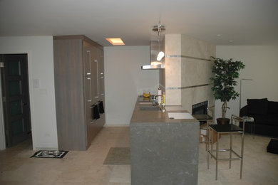 Kitchen - contemporary kitchen idea in Chicago