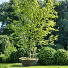 bille0707s Ideen