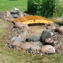 Landscape And Patio