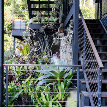 Elevated Eden