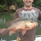 Troy Malkin's photo
