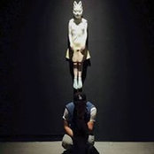 Wei C Liuさんの写真