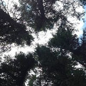 Loretta Boyes-Macmillan's photo
