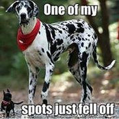 Pam Schritter's photo